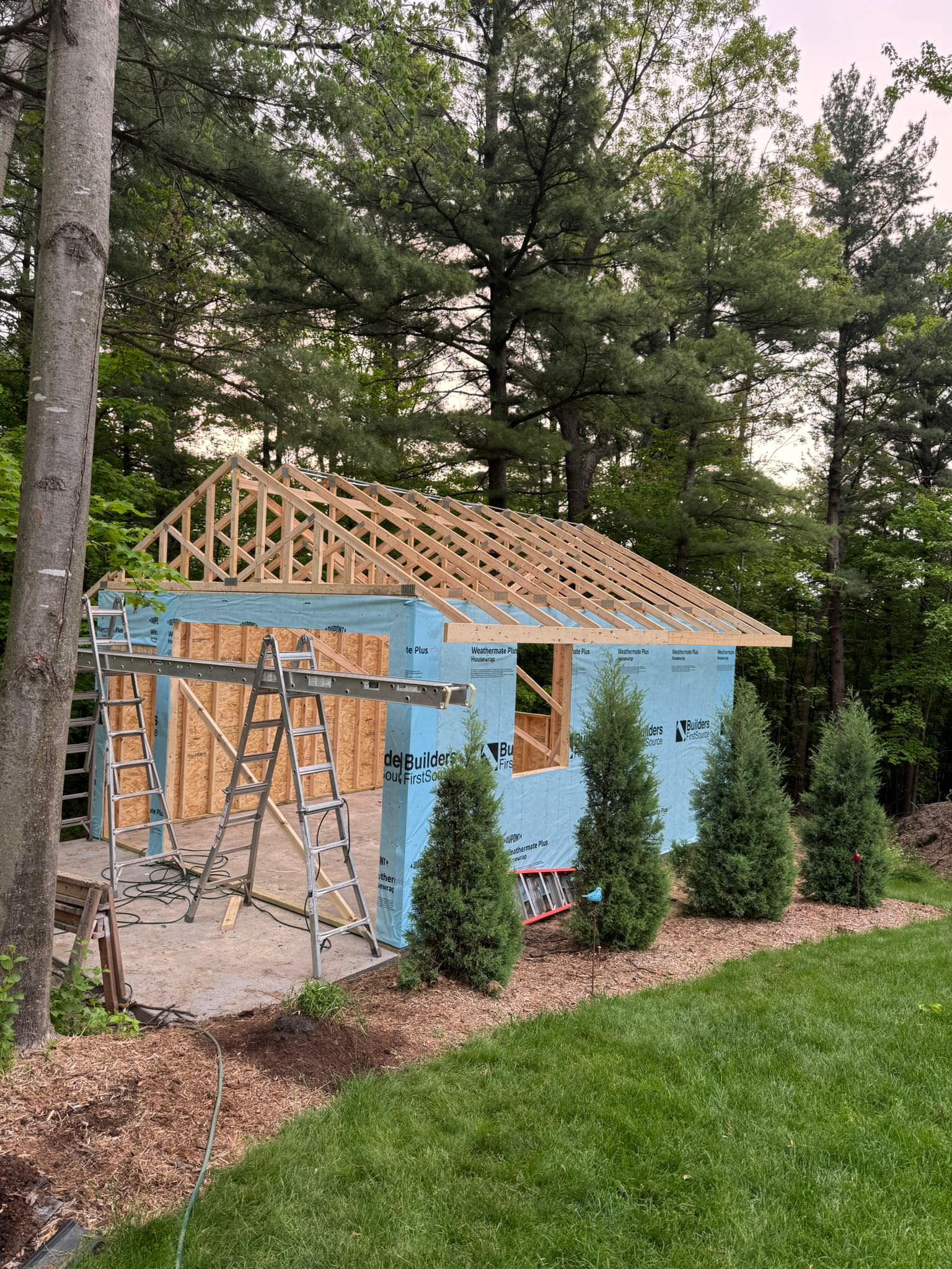 Shed before